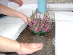 DSC02771.JPG